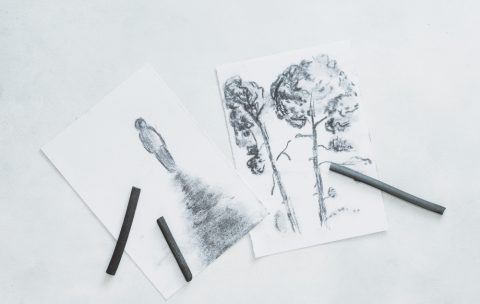 beautiful-sketches-charcoal-pencil-isolated-white-background